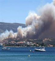 Πυρκαγιές σε Βαρνάβα Αττικής, Πάτημα Ελευσίνας και Νέα Στύρα Εύβοιας